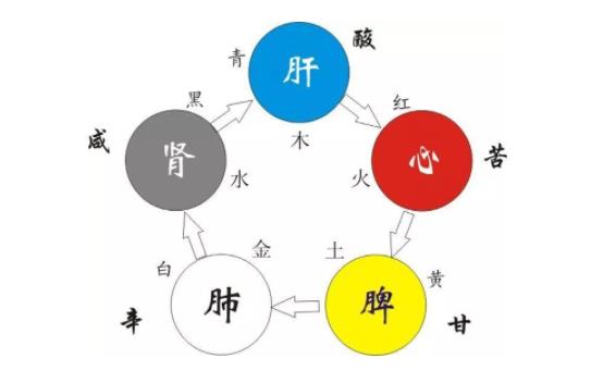 調養五臟該怎么做？中醫分享調養五臟的方法